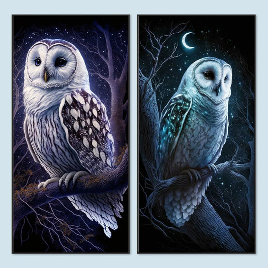 Owl | Diamond Painting