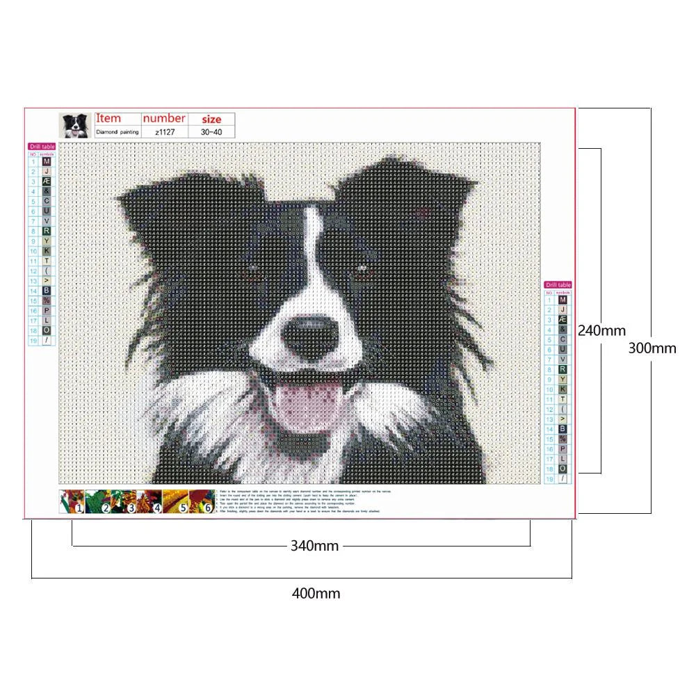 Black Dog Border Collie | Diamond Painting