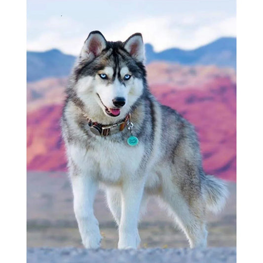 Animal Dog Husky | Diamond Painting