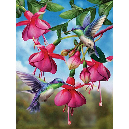 Hummingbird | Diamond Painting