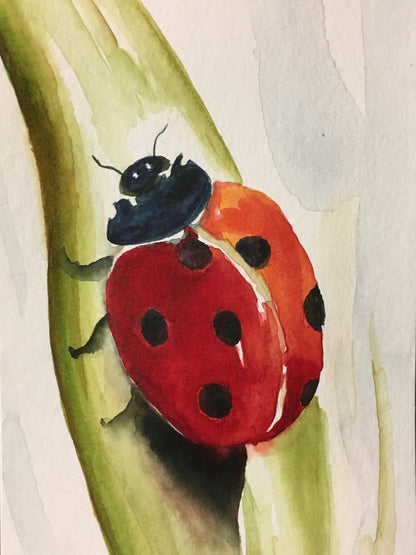 Ladybug | Diamond Painting