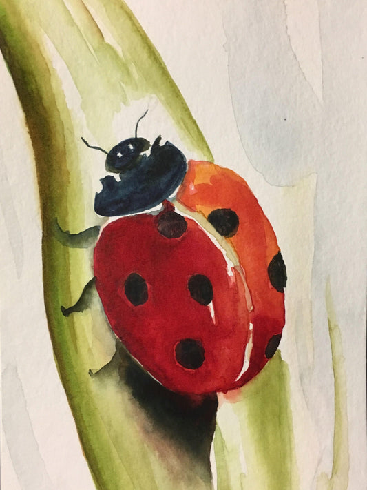 Ladybug | Diamond Painting