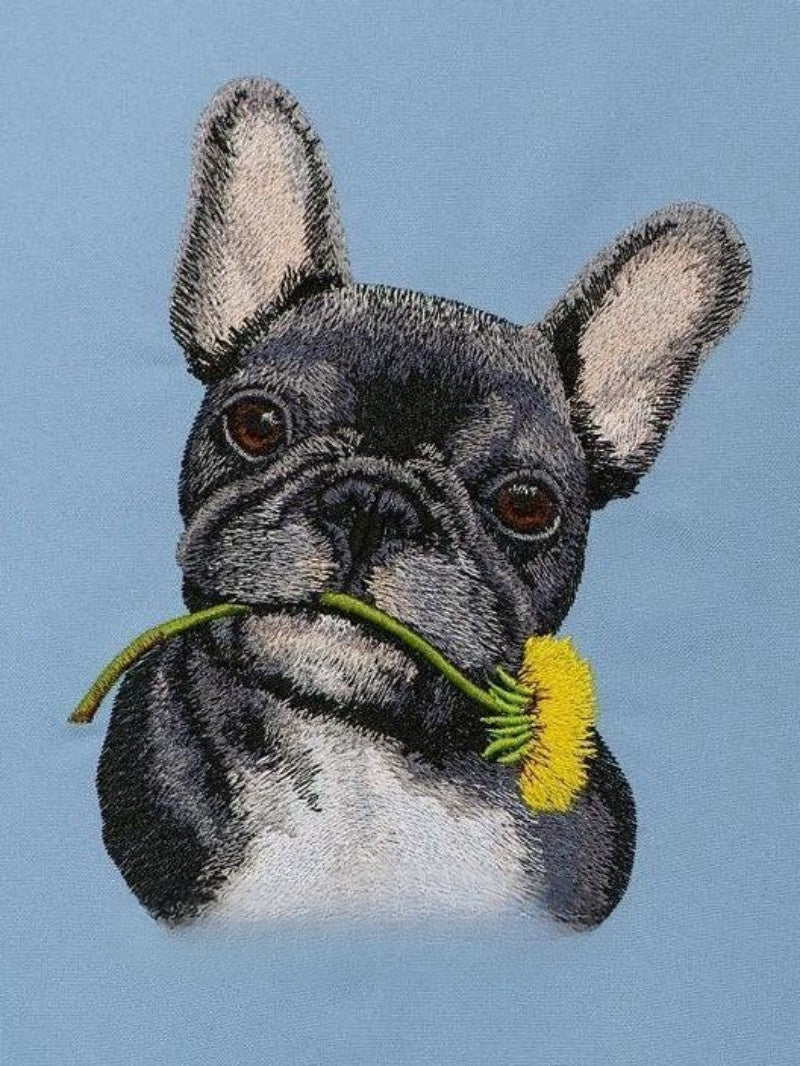 French Bulldog Dog | Diamond Painting