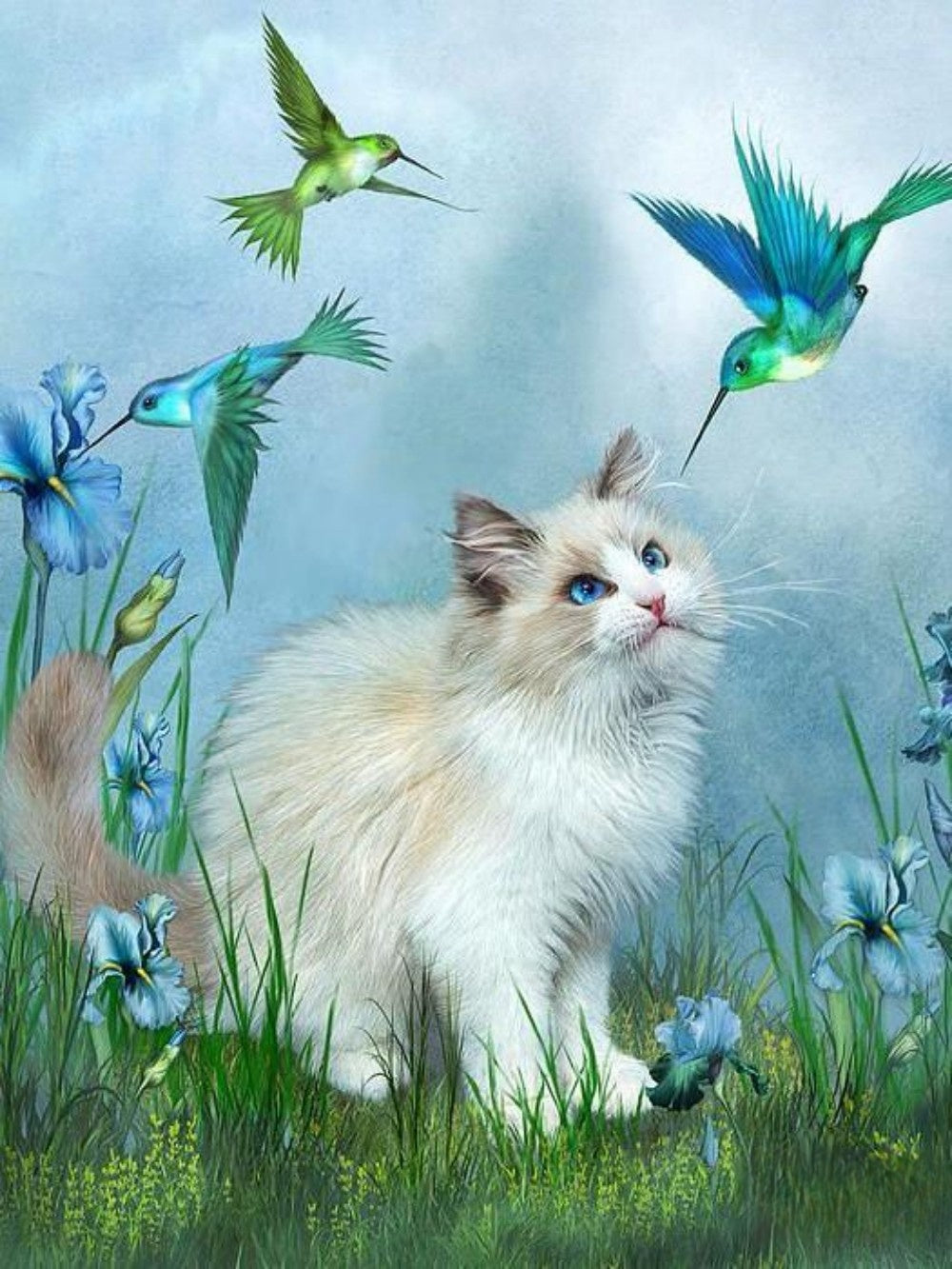 Cat with Butterfly  | Diamond Painting