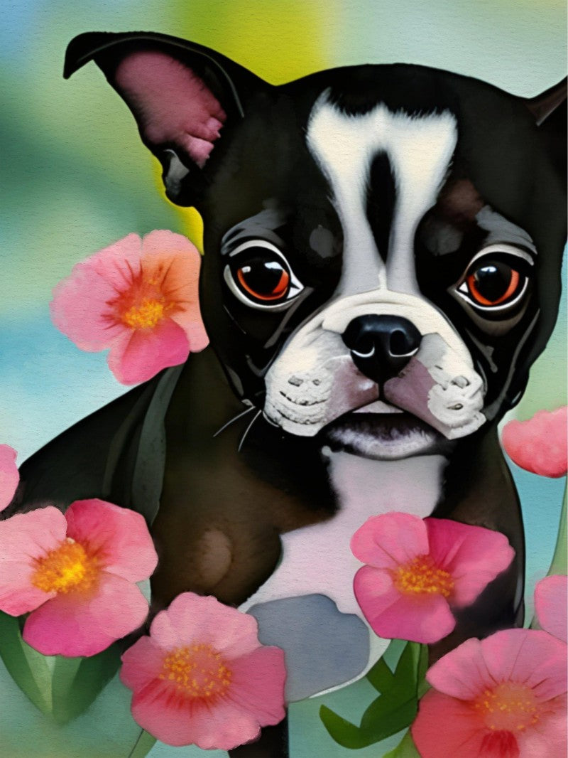 Boston Terrier Dog | Diamond Painting