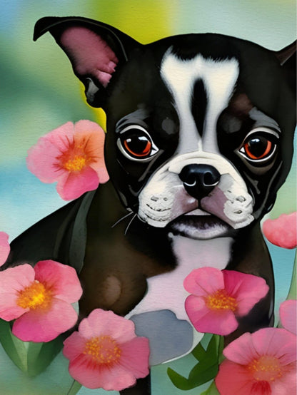 Boston Terrier Dog | Diamond Painting