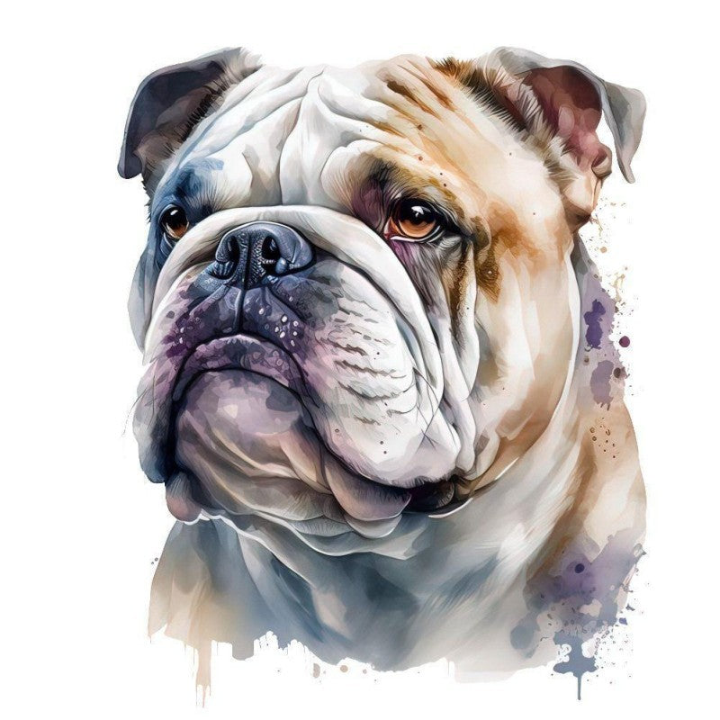 Dog English Bulldog | Diamond Painting