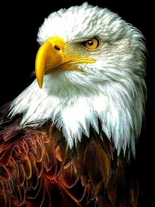 Eagle | Diamond Painting