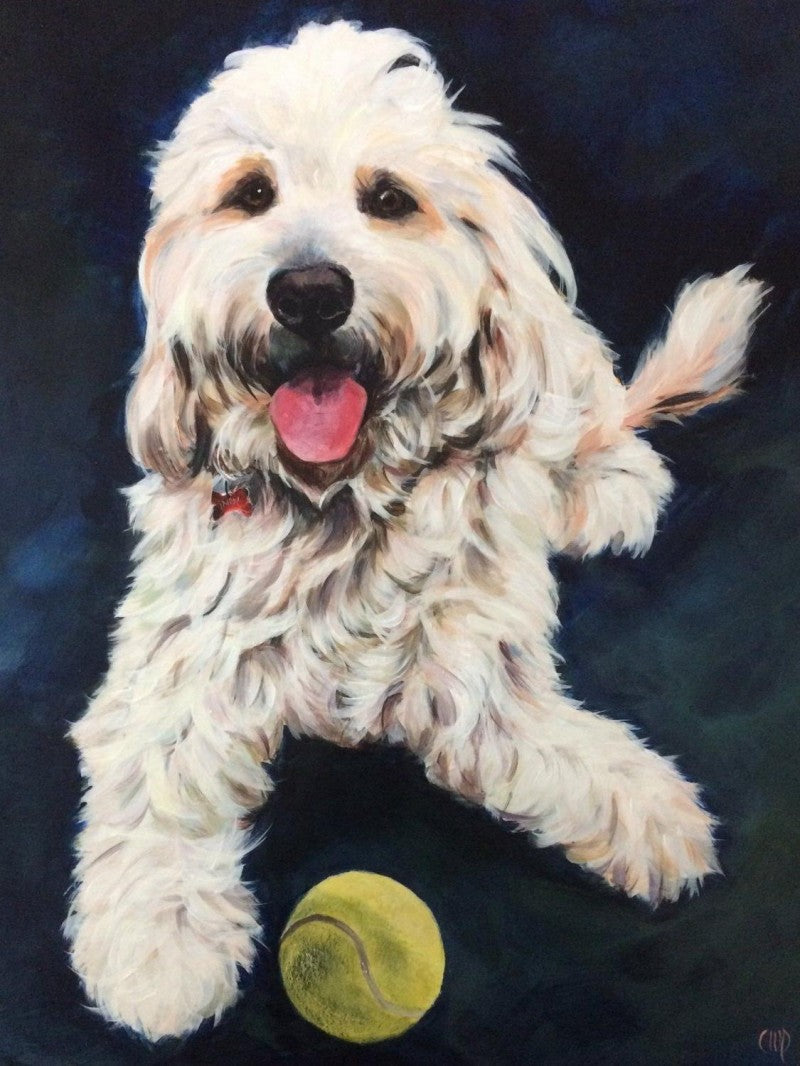 Labradoodle Dog | Diamond Painting