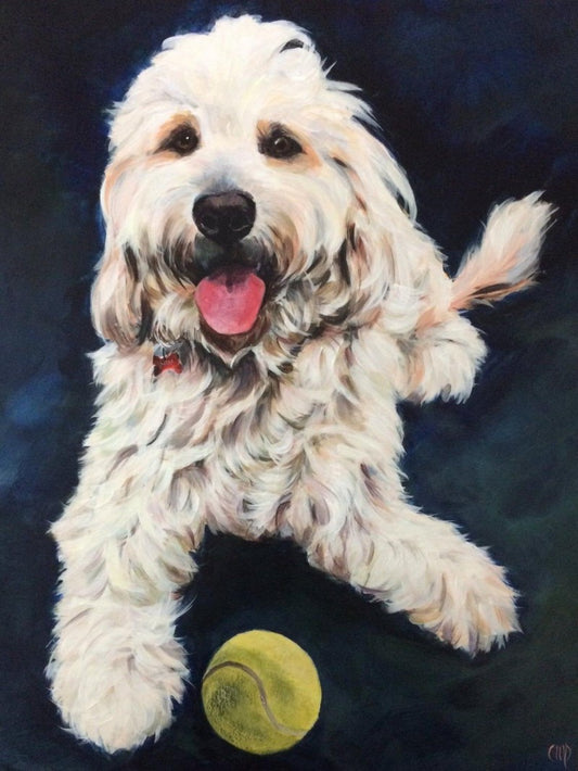 Labradoodle Dog | Diamond Painting
