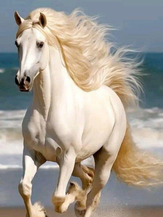 Horse | Diamond Painting