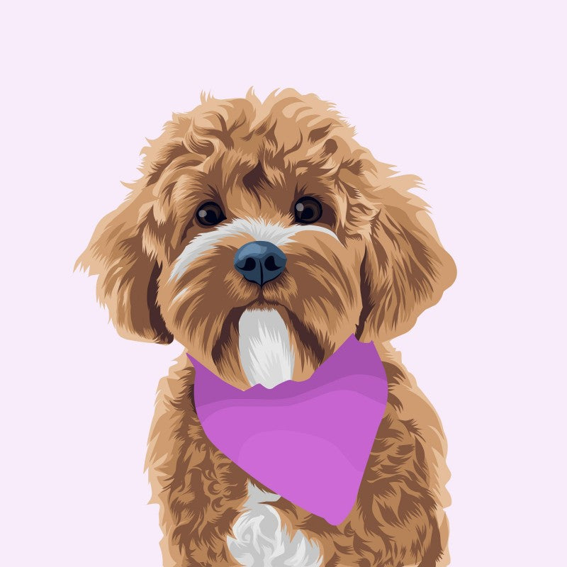 Cavapoo Dog | Diamond Painting