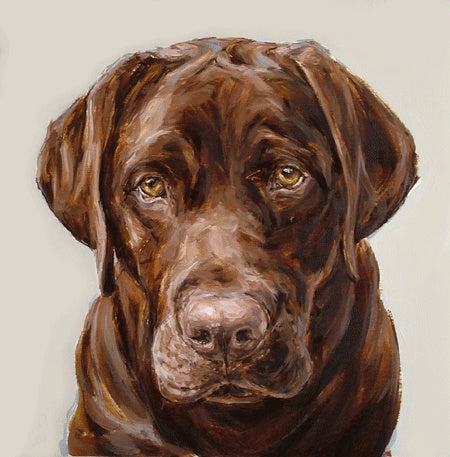 Chocolate Labrador Dog | Diamond Painting
