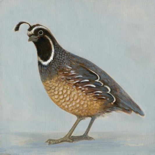 Quail | Diamond Painting