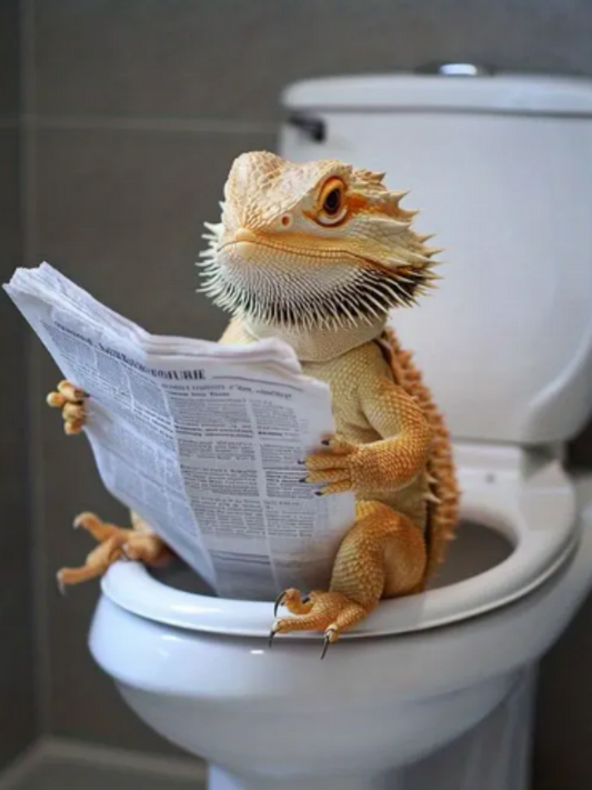 Bearded Dragon | Diamond Painting