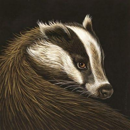 Badger | Diamond Painting