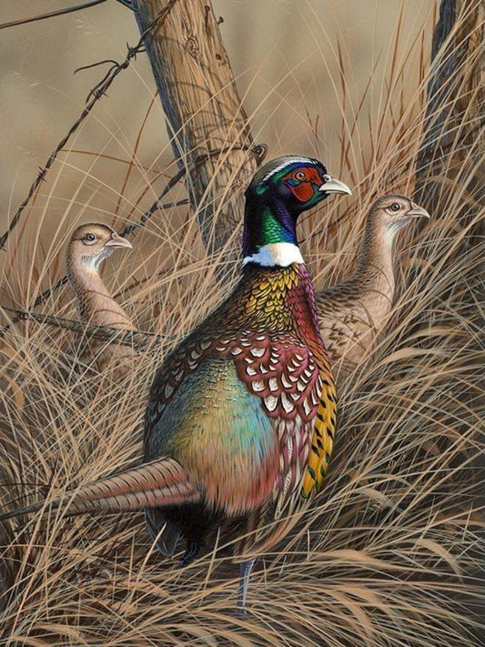 Pheasant | Diamond Painting