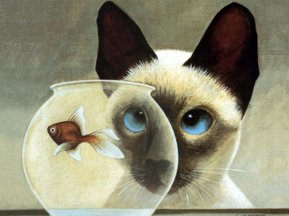 Siamese Cat | Diamond Painting