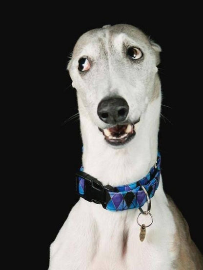 Whippet Dog | Diamond Painting