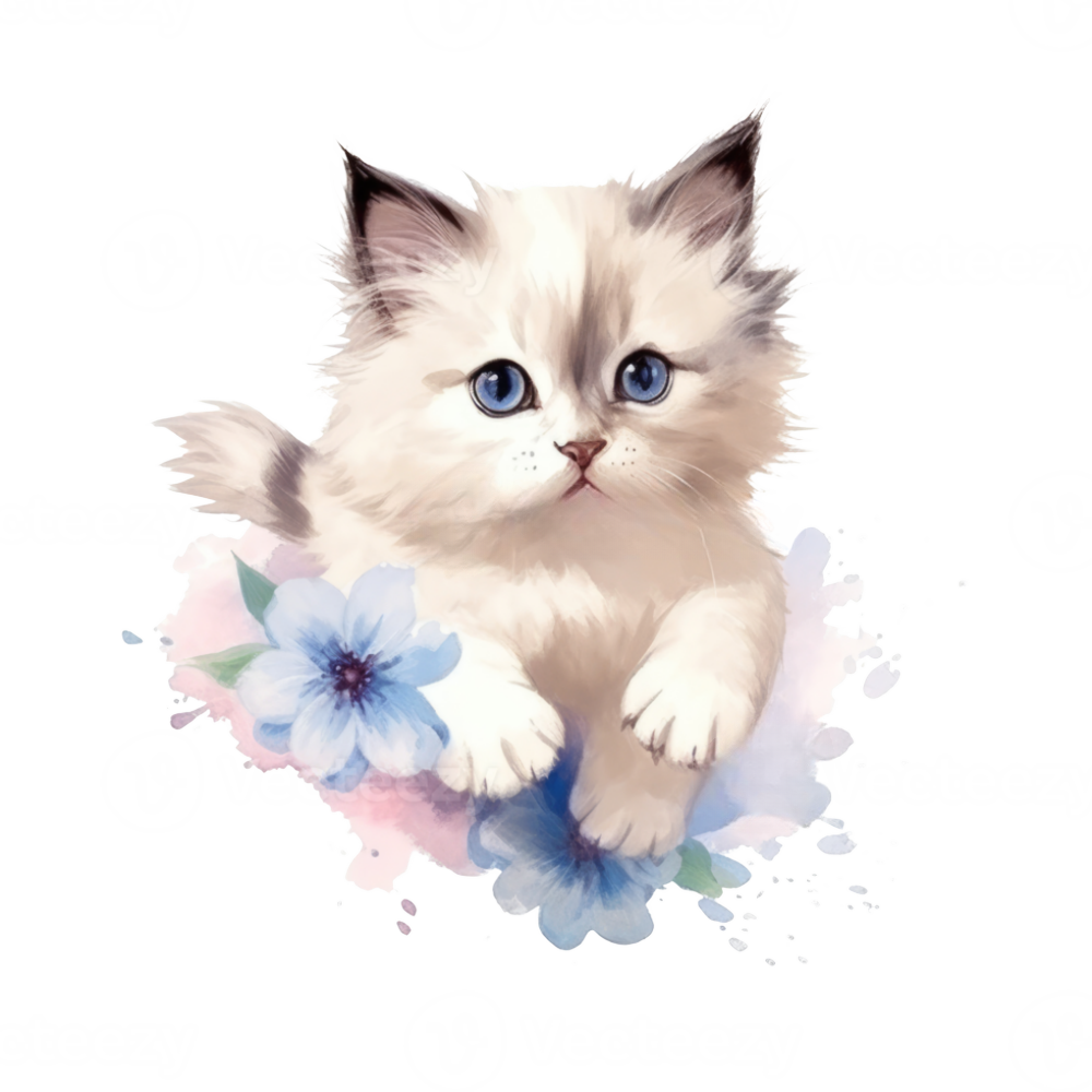 Ragdoll Cat | Diamond Painting