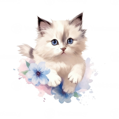 Ragdoll Cat | Diamond Painting