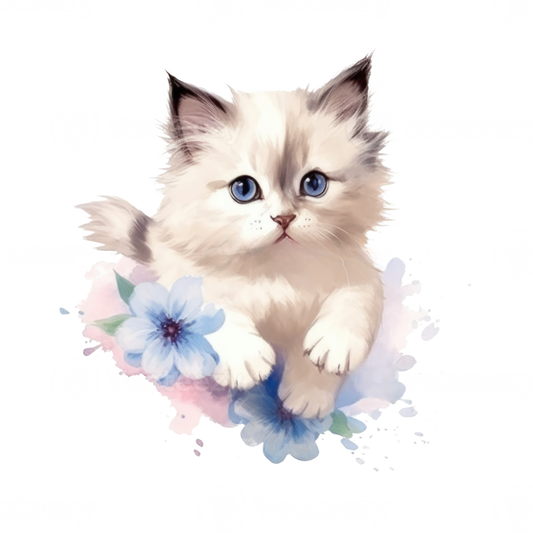 Ragdoll Cat | Diamond Painting