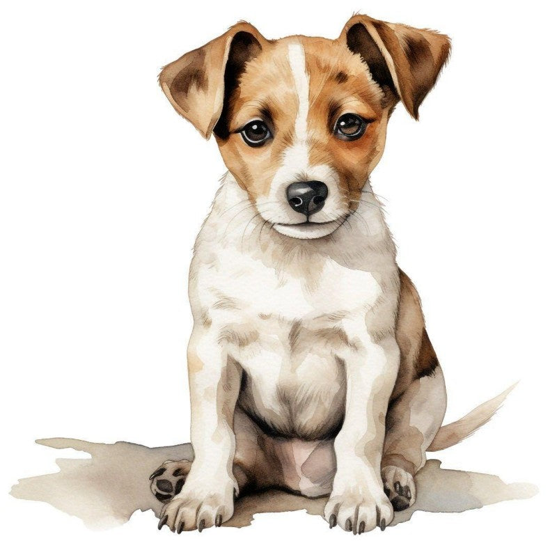 Dog Jack Russell | Diamond Painting