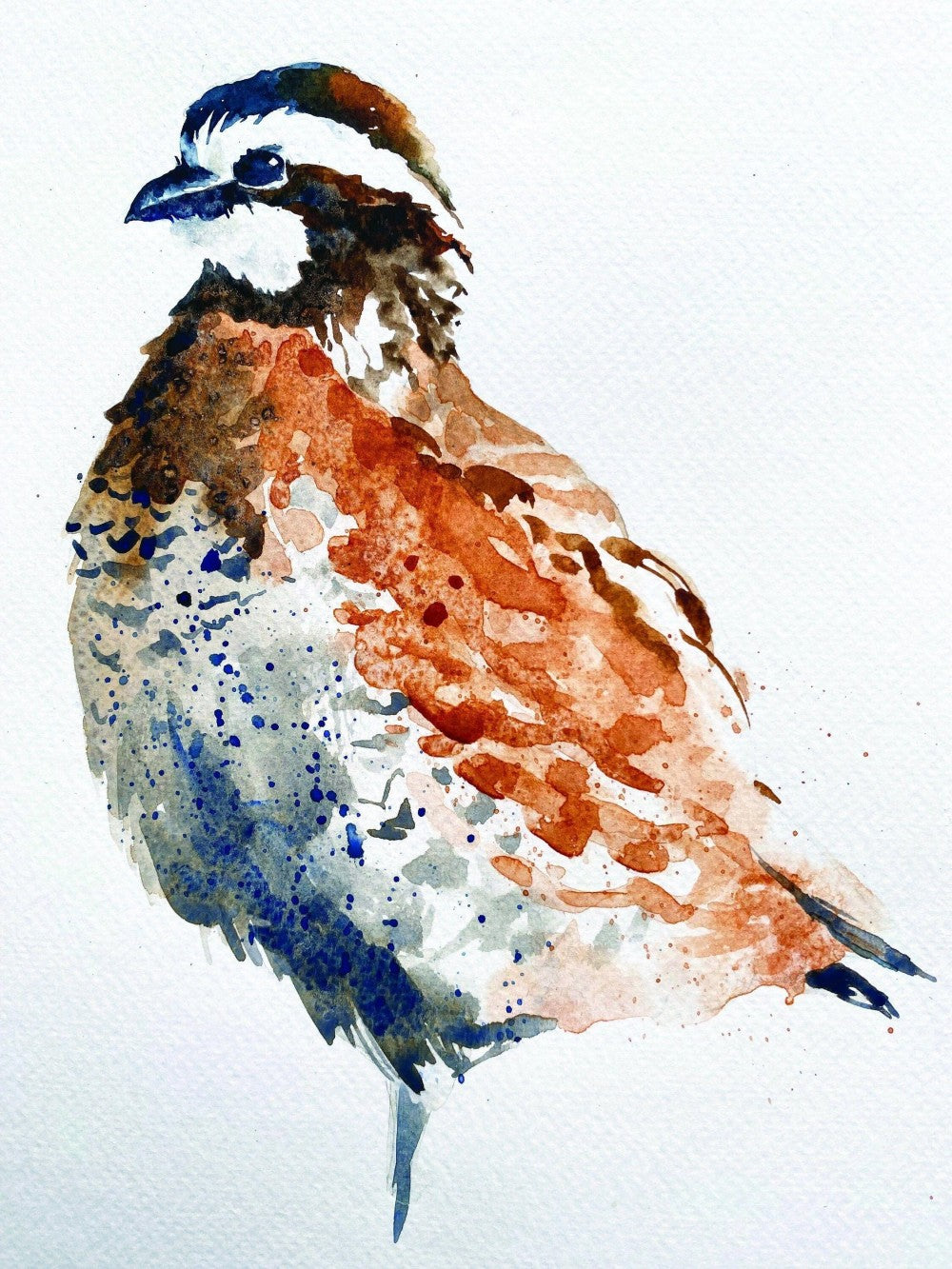 Quail | Diamond Painting