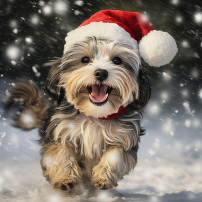 Havanese Dog | Diamond Painting