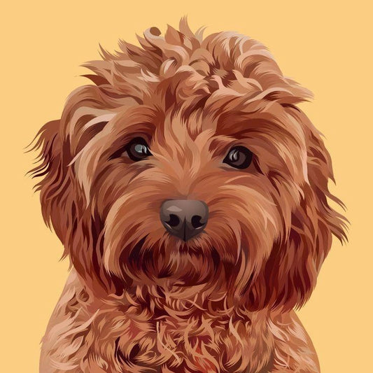 Dog Cockapoo | Diamond Painting
