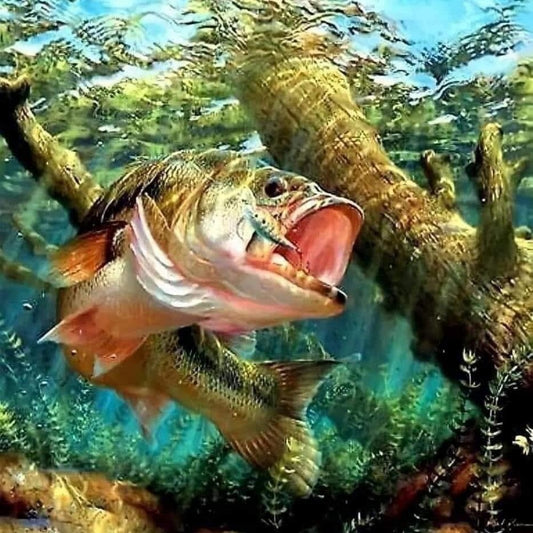 Bass Fish | Diamond Painting