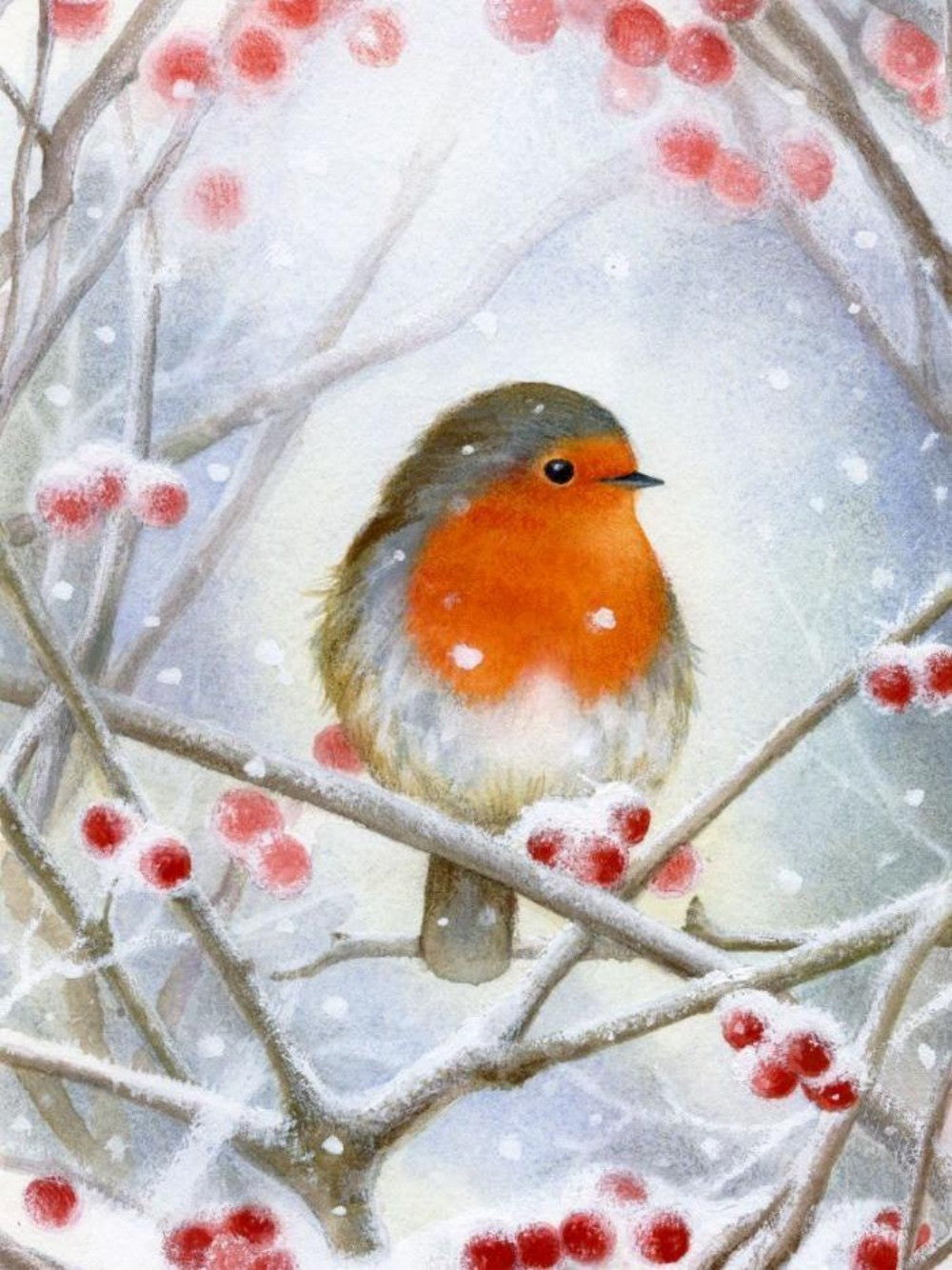 Robin Bird | Diamond Painting