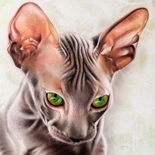 Sphynx Cat  | Diamond Painting