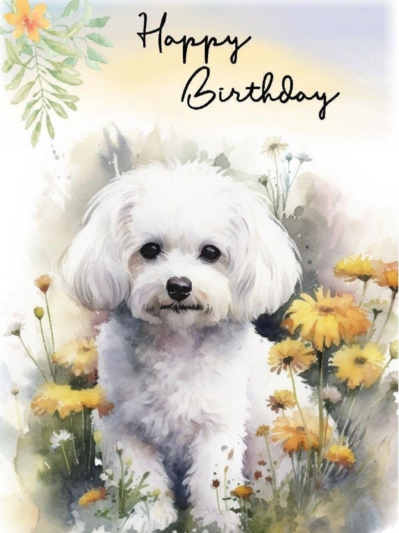 Dog Bichon Frise | Diamond Painting