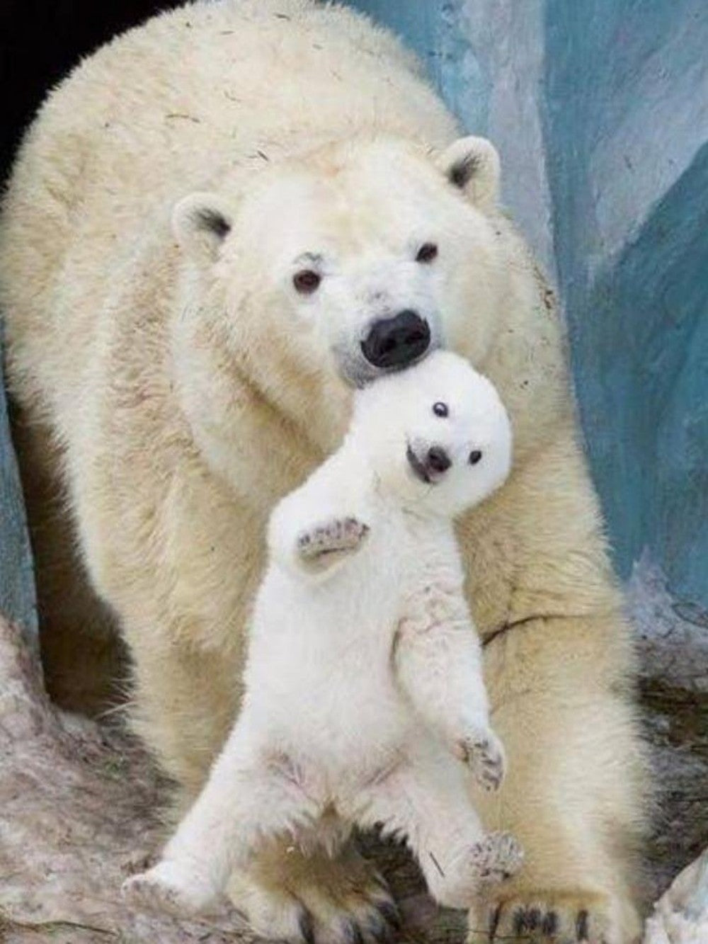 Polar Bear | Diamond Painting