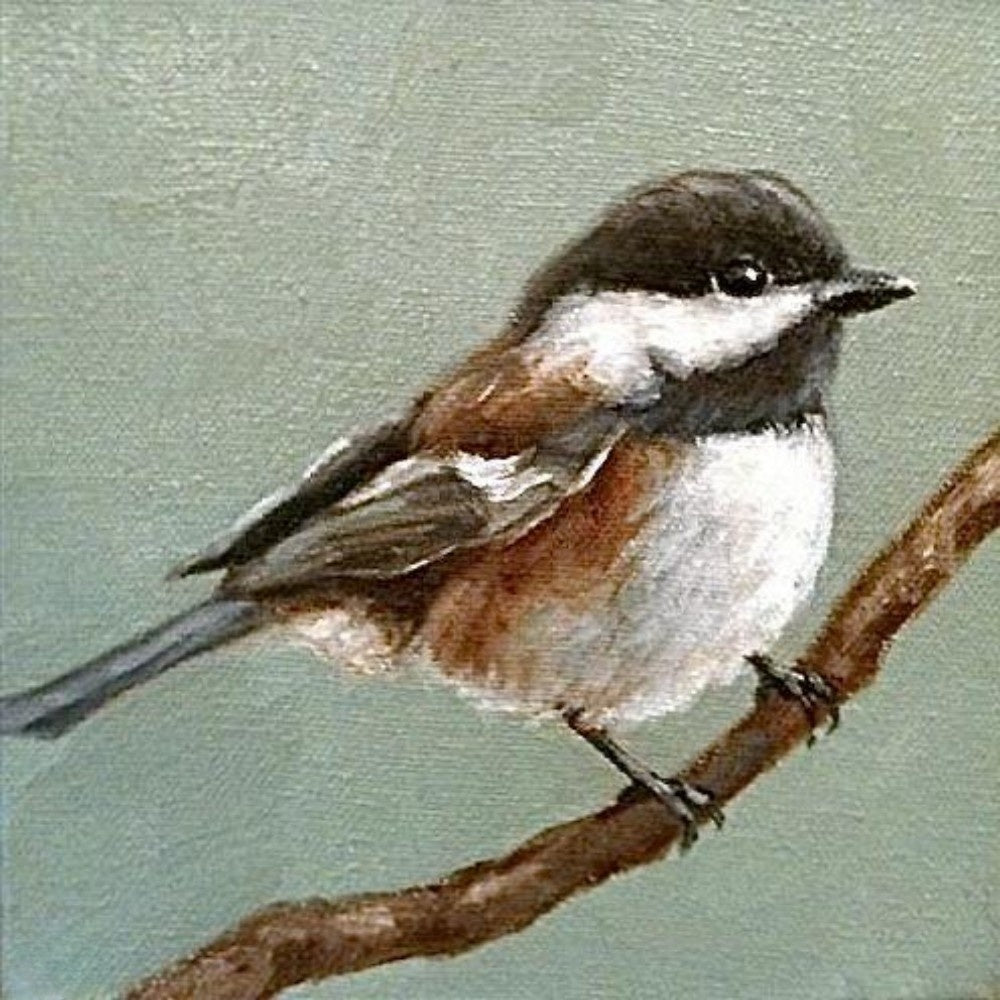 Chickadee | Diamond Painting