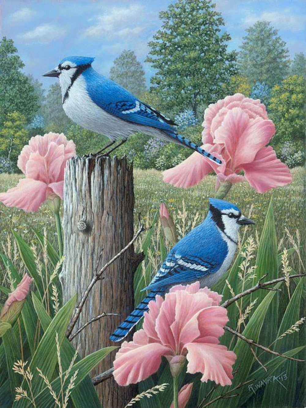 Blue Jay | Diamond Painting