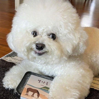 Dog Bichon Frise | Diamond Painting