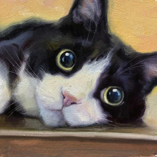 Tuxedo Cat  | Diamond Painting