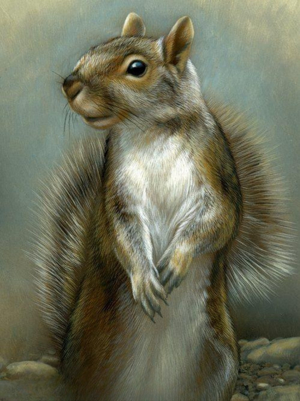Squirrel | Diamond Painting