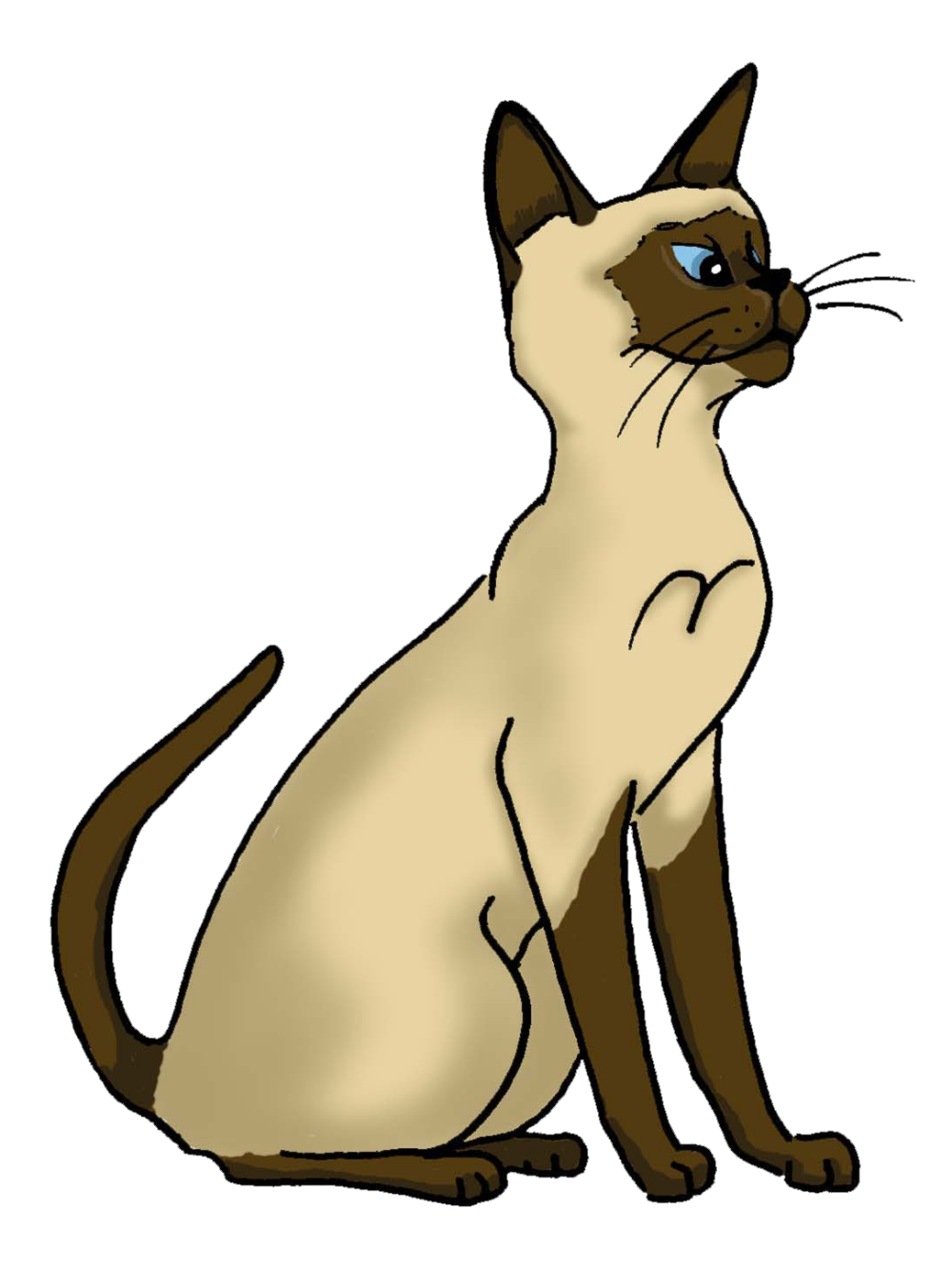 Siamese Cat | Diamond Painting