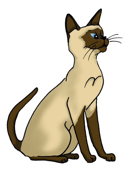 Siamese Cat | Diamond Painting