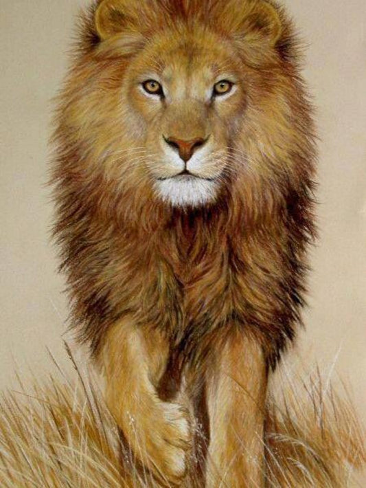 Lion | Diamond Painting