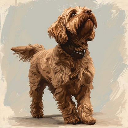 Labradoodle Dog | Diamond Painting
