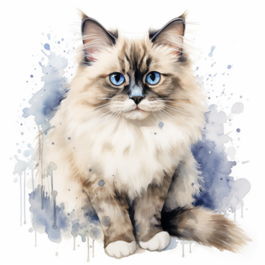 Ragdoll Cat | Diamond Painting