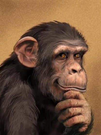 Gorilla | Diamond Painting