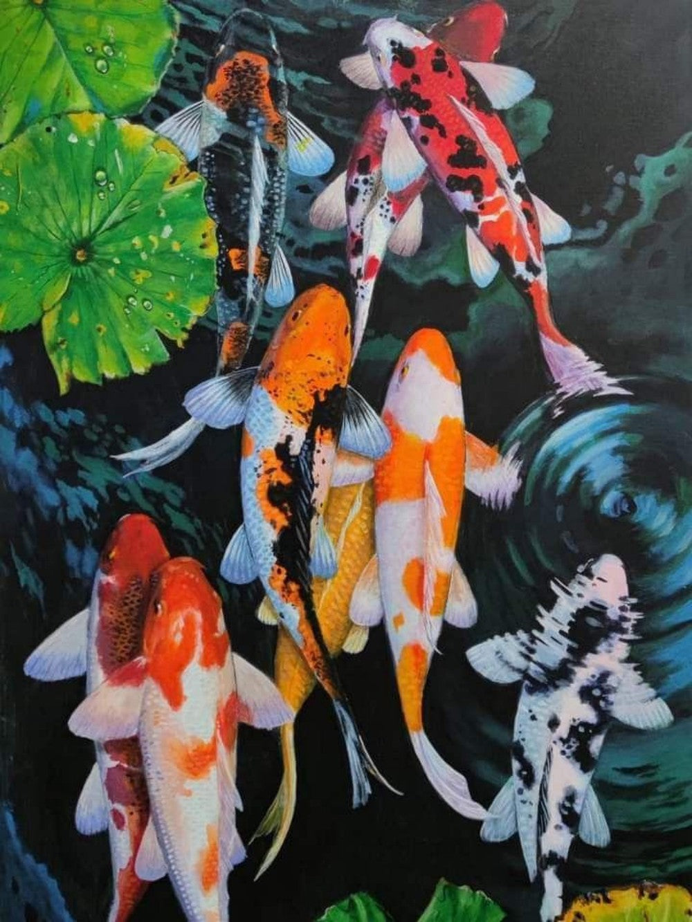 Koi Fish | Diamond Painting