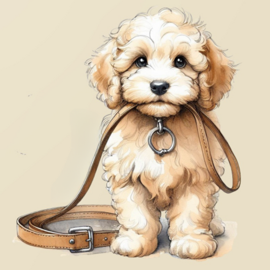Dog Cockapoo | Diamond Painting