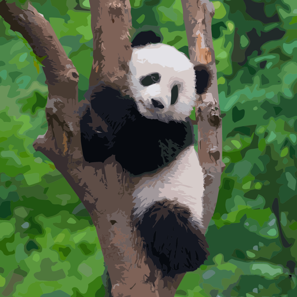 Panda | Diamond Painting