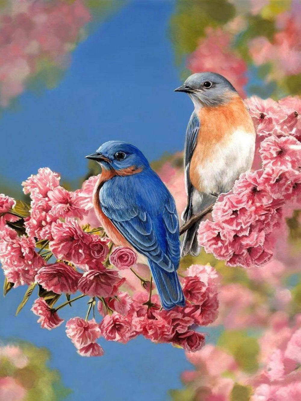 Birds and Flowers | Diamond Painting